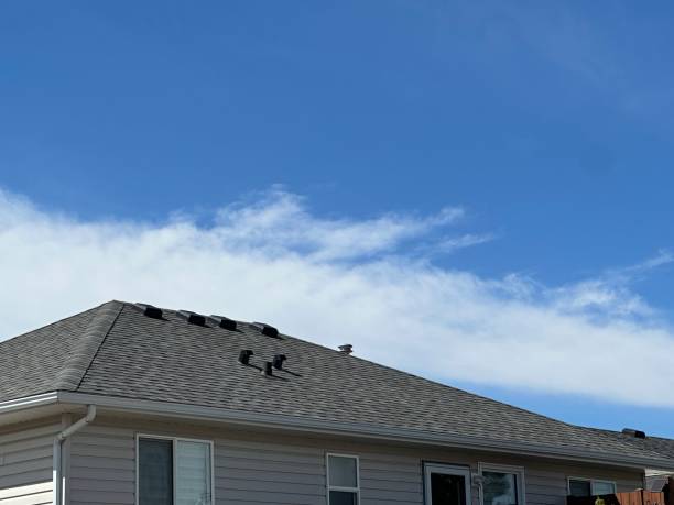 Best Asphalt Shingle Roofing  in Waihee Waiehu, HI